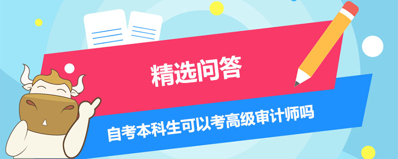 自考本科生可以考高级审计师吗