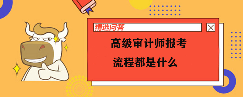 高级审计师报考流程都是什么