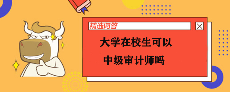 大学在校生可以中级审计师吗