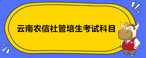 云南农信社管培生考试科目