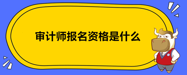 审计师报名资格是什么